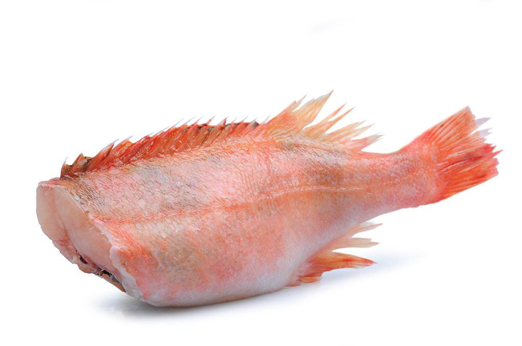 Peixe Vermelho