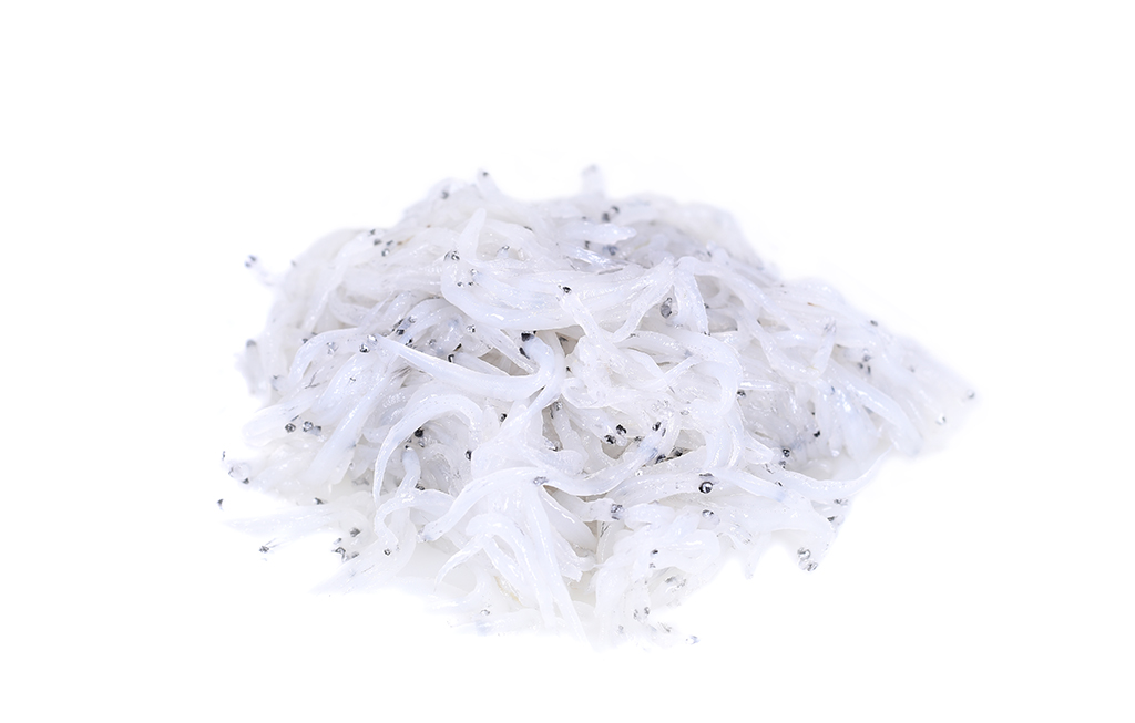 Peixe-Prata Oriental