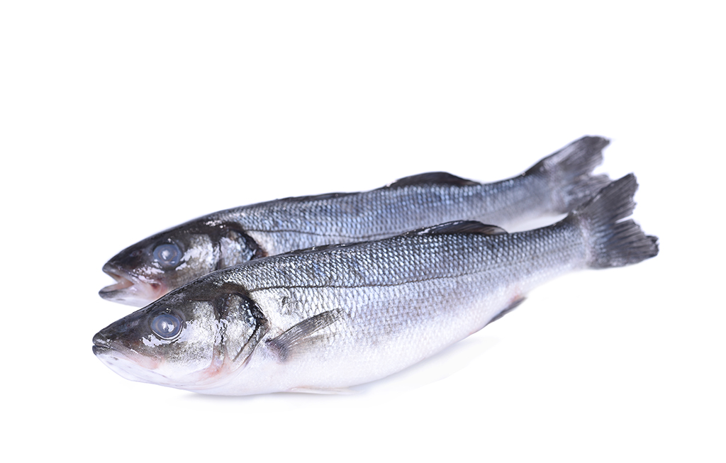 Robalo Turquia inteiro