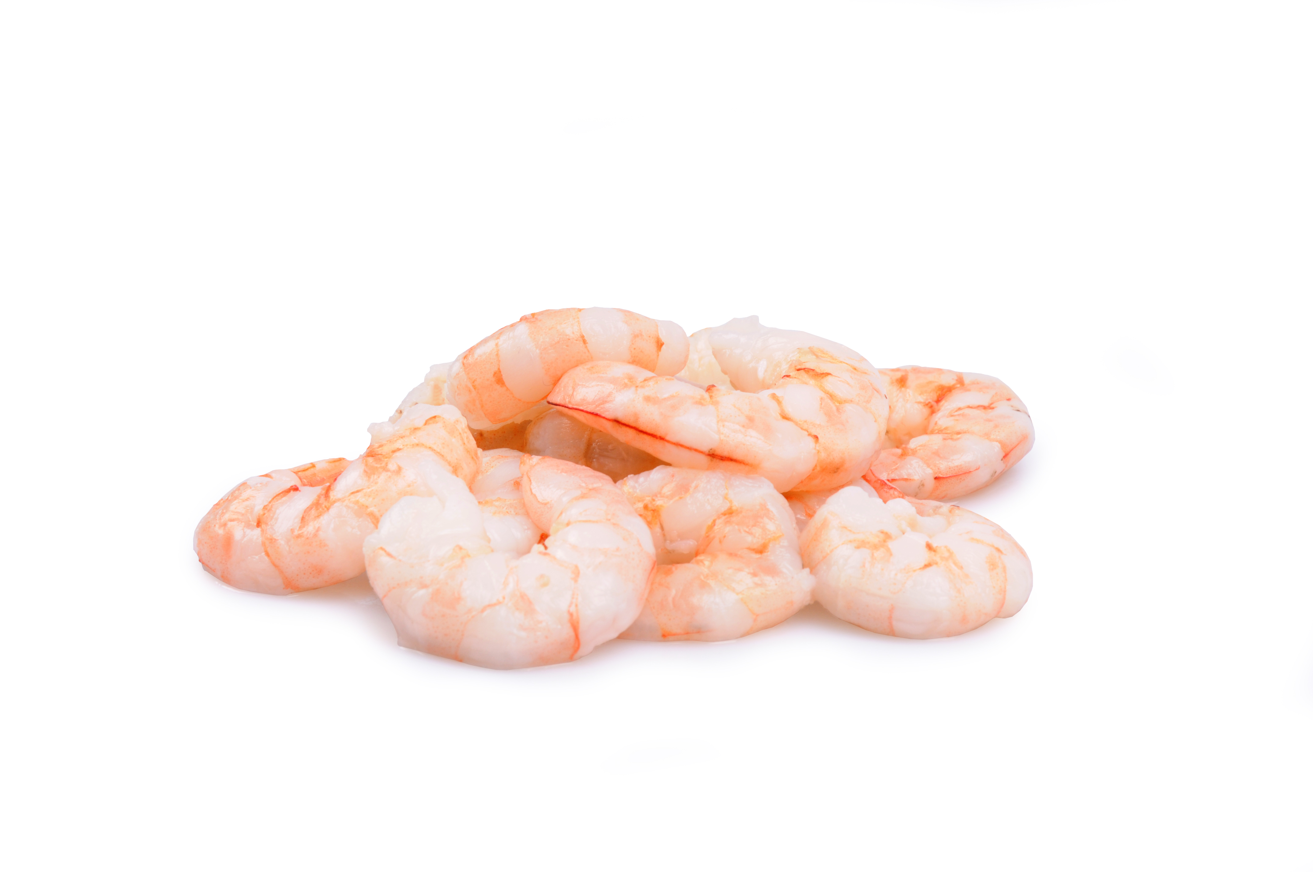 Miolo Camarão India s/ casca