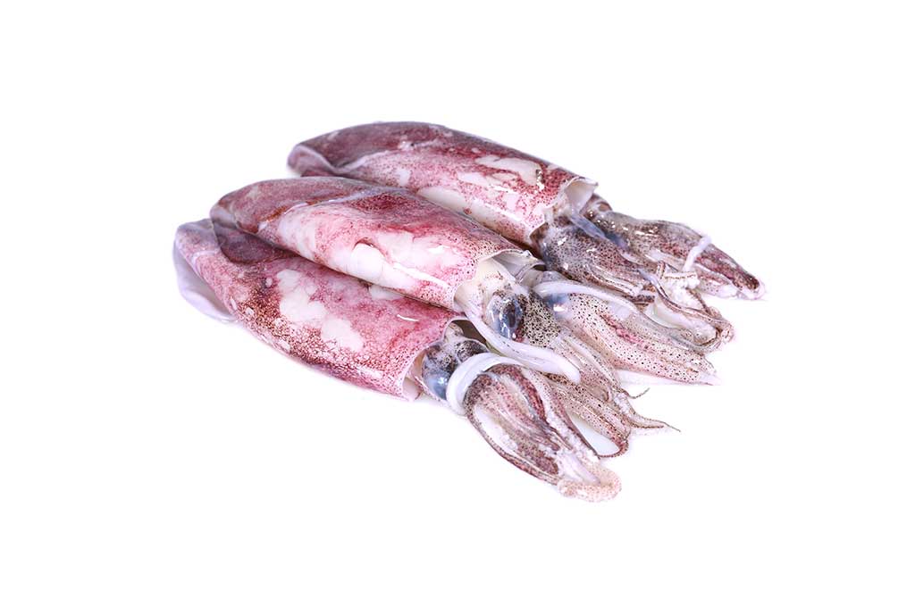 Lula Inteira África do Sul