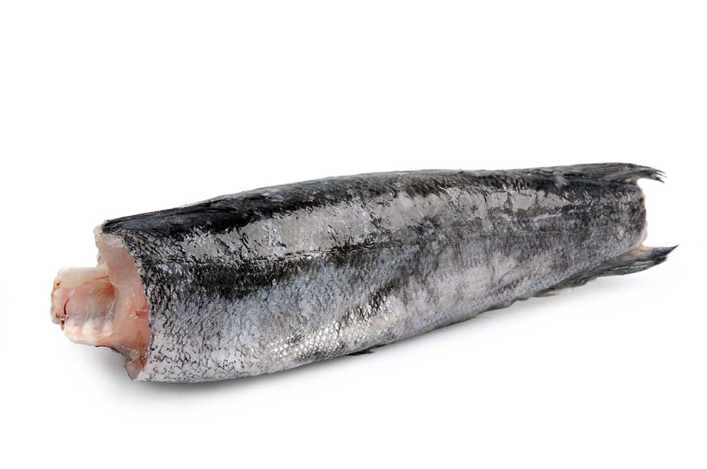 Pescada Ãfrica do Sul