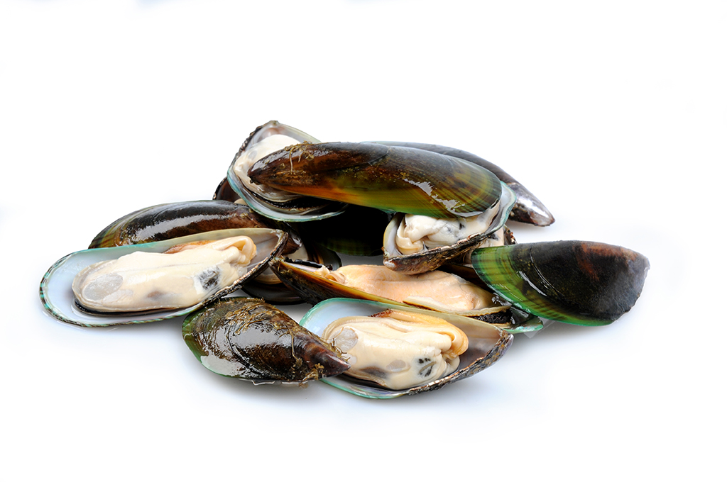 Mexilhão 1/2 Concha Ria