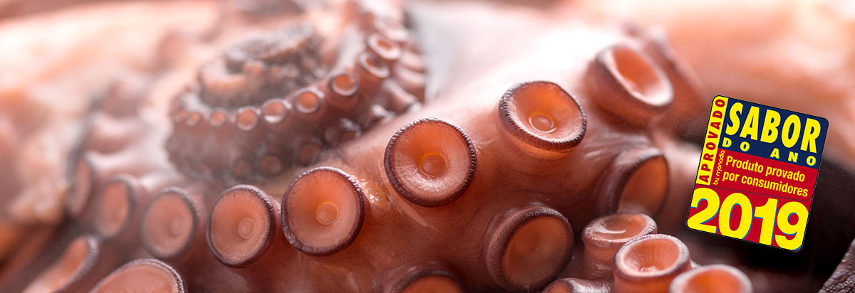 Sabor do Ano 2019