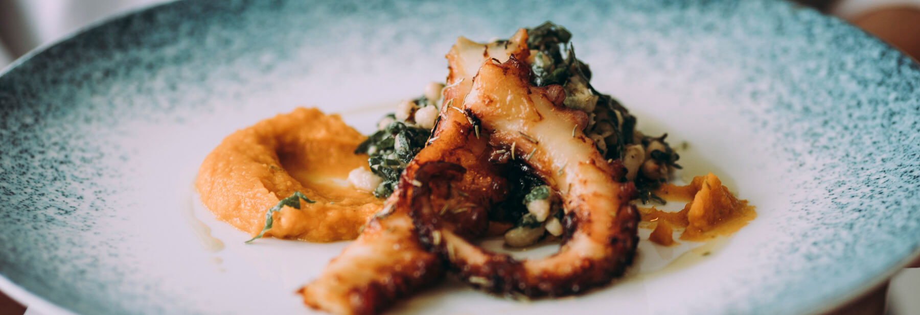 Polvo com puré de batata doce e esmagada de feijão frade e couve