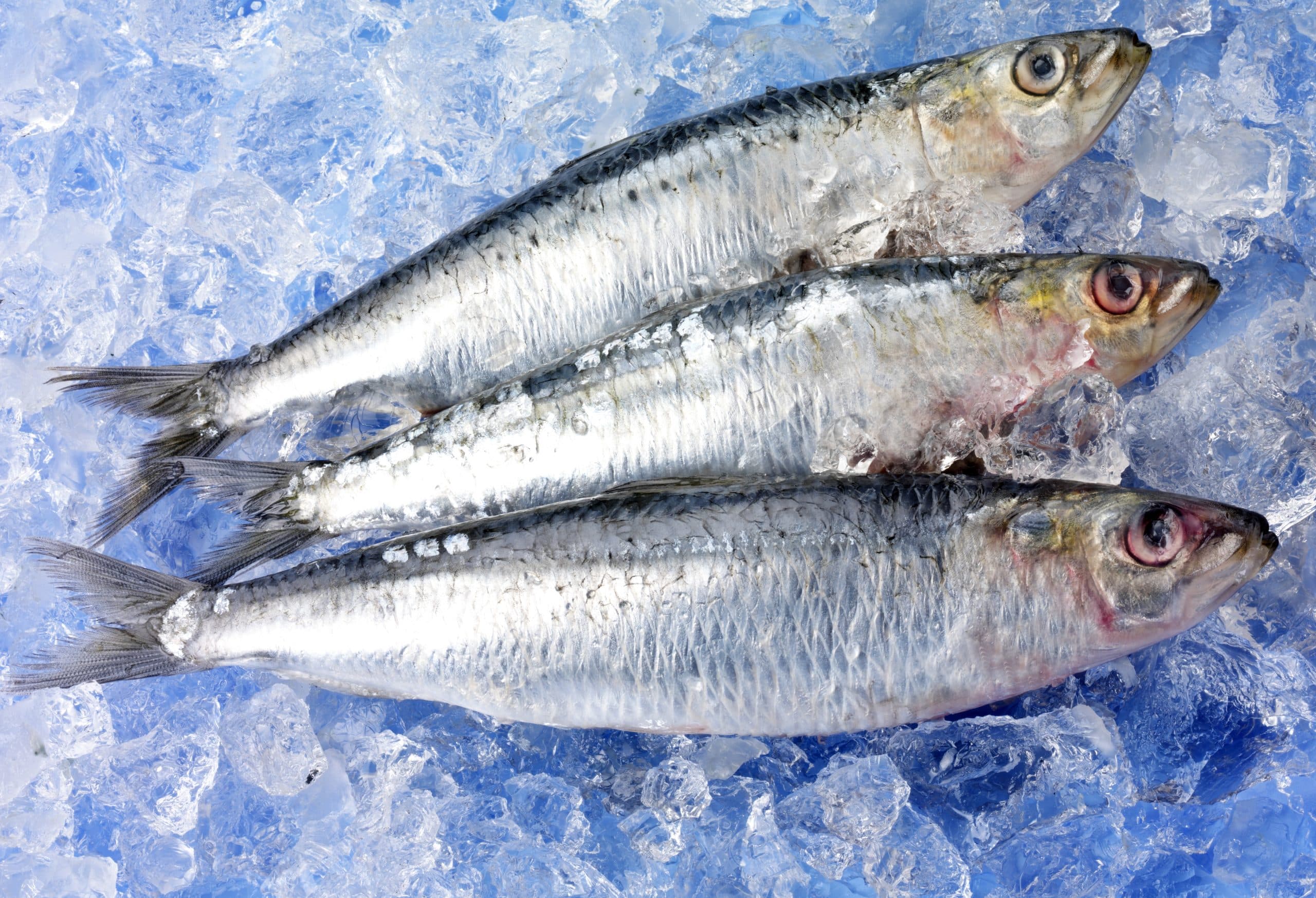 Las propiedades del pescado congelado